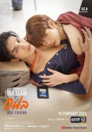 ดูหนังออนไลน์ฟรี Bed Friend (2023) อย่าเล่นกับอนล