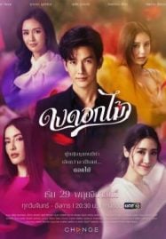 ดูซีรี่ย์ออนไลน์ฟรี Desirable Flowers (2022) ดงดอกไม้