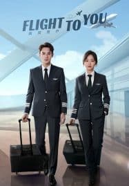 ดูซีรี่ย์ออนไลน์ฟรี Flight to You (2022) ลัดฟ้าหาหัวใจ