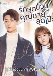 ดูซีรี่ย์ออนไลน์ฟรี Hello Mr. Gu (2021) รักสุดป่วนของคุณชายสุดเป๊ะ