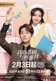 ดูซีรี่ย์ออนไลน์ฟรี Love Me Like I Do (2023) สะดุดรักมัดใจบอส