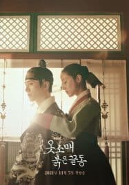ดูซีรี่ย์ออนไลน์ฟรี The Red Sleeve (2021) นางในหัวใจแกร่ง