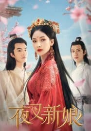 ดูซีรี่ย์ออนไลน์ฟรี Fierce Bride (2023) เจ้าสาวราตรี