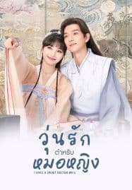 ดูซีรี่ย์ออนไลน์ฟรี I Have a Smart Doctor Wife (2023) วุ่นรักตำรับหมอหญิง