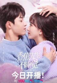 ดูซีรี่ย์ออนไลน์ฟรี Mr. Insomnia Waiting for Love (2023) เธอคือยานอนรัก