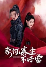 ดูซีรี่ย์ออนไลน์ฟรี Yes I Am A Spy (2023) คู่รักสายลับ
