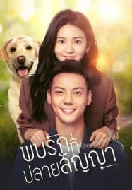 ดูซีรี่ย์ออนไลน์ฟรี A Date With the Future (2023) พบรักที่ปลายสัญญา