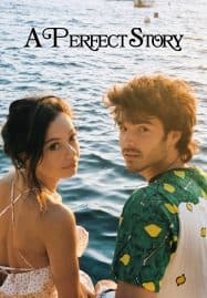 ดูซีรี่ย์ออนไลน์ฟรี A Perfect Story (2023) นิทานรักในฝัน