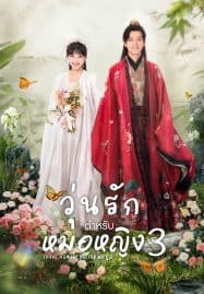 ดูซีรี่ย์ออนไลน์ฟรี I Have a Smart Doctor Wife Season 3 (2023) วุ่นรักตำรับหมอหญิง ภาค 3