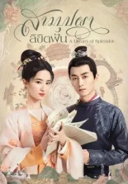 ดูซีรี่ย์ออนไลน์ฟรี A Dream of Splendor (2022) สามบุปผาลิขิตฝัน