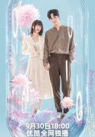 ดูซีรี่ย์ออนไลน์ฟรี Embrace Love (2023) โอบกอดเธอที่รัก