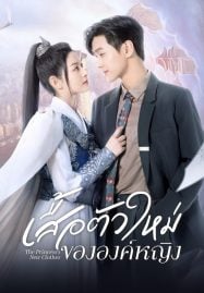 ดูซีรี่ย์ออนไลน์ฟรี The Princess New Clothes (2023) เสื้อตัวใหม่ขององค์หญิง