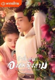 ดูซีรี่ย์ออนไลน์ฟรี The Romance of Tiger and Rose (2020) ข้านี่เเหละองค์หญิงสาม