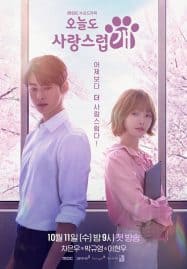 ดูซีรี่ย์ออนไลน์ฟรี A Good Day To Be A Dog (2023) จูบรักปลดล็อก