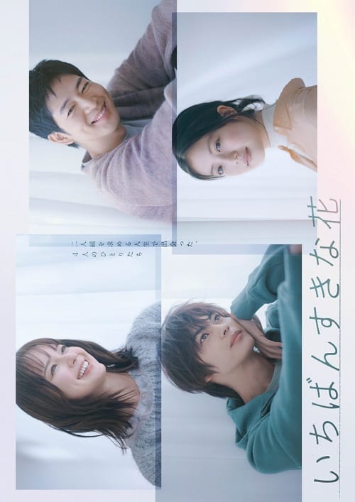 ดูหนังออนไลน์ฟรี Ichiban Sukina Hana (2023) ดอกไม้ที่ไร้ช่อ