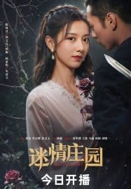 ดูซีรี่ย์ออนไลน์ฟรี Miss Mystery (2023) ปริศนาจำแลงรัก