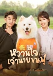 ดูซีรี่ย์ออนไลน์ฟรี My Precious (2023) หวานใจเจ้านายขนฟู
