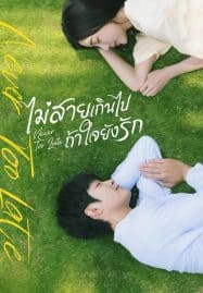 ดูซีรี่ย์ออนไลน์ฟรี Never Too Late (2023) ไม่สายเกินไปถ้าใจยังรัก