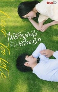 ดูซีรี่ย์ออนไลน์ Never Too Late (2023) ไม่สายเกินไปถ้าใจยังรัก