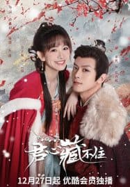 ดูซีรี่ย์ออนไลน์ฟรี Governors Secret Love (2023) รักมิอาจห้ามใจ