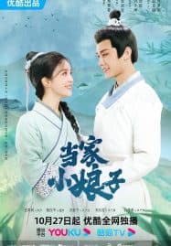 ดูซีรี่ย์ออนไลน์ฟรี Invincible Stepmother (2023) ดาราสาวทะลุมิติ