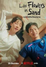 ดูซีรี่ย์ออนไลน์ฟรี Like Flowers in Sand (2023) ดอกไม้สังเวียนทราย
