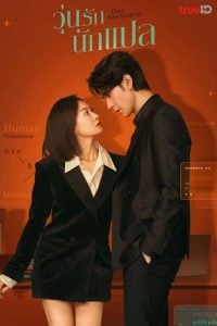 ดูซีรี่ย์ออนไลน์ Our Interpreter (2024) วุ่นรักนักแปล