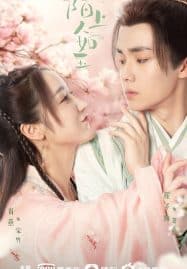 ดูซีรี่ย์ออนไลน์ฟรี Special Lady (2023) คุณหนูสามตามหารัก