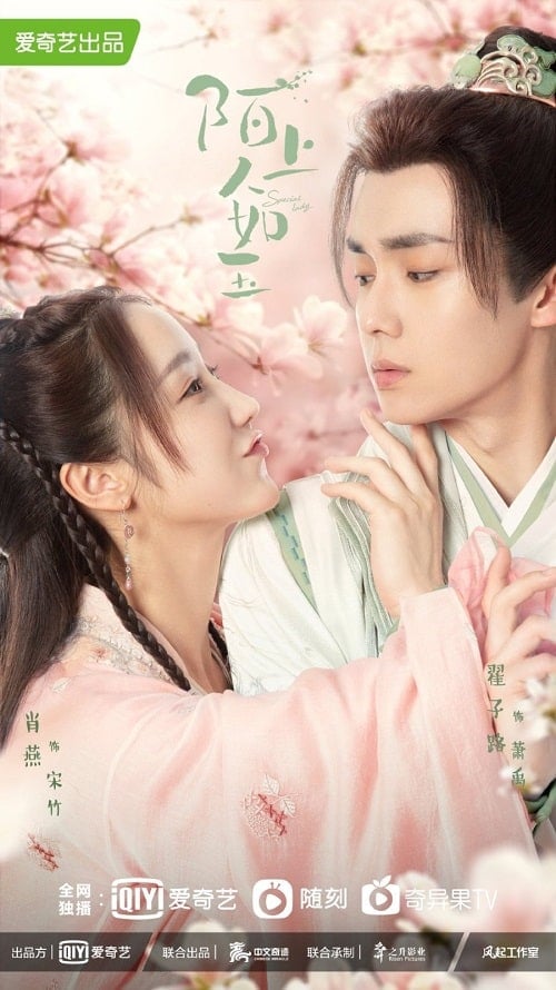 ดูหนังออนไลน์ฟรี Special Lady (2023) คุณหนูสามตามหารัก