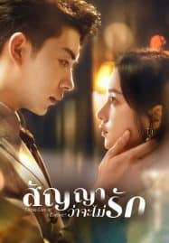 ดูซีรี่ย์ออนไลน์ฟรี Taking Love as a Contract (2024) สัญญาว่าจะไม่รัก