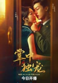 ดูซีรี่ย์ออนไลน์ฟรี Palms on Love (2024) รักในกำมือ