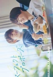 ดูซีรี่ย์ออนไลน์ฟรี Perfect Propose (2024) ข้อเสนอรักพิชิตหัวใจ