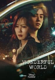 ดูซีรี่ย์ออนไลน์ฟรี Wonderful World (2024)