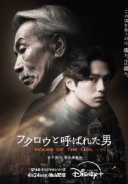 ดูซีรี่ย์ออนไลน์ฟรี House of the Owl (2024)