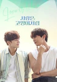 ดูซีรี่ย์ออนไลน์ฟรี Love is Like a Cat (2024) รักนี้ หมาหรือแมว