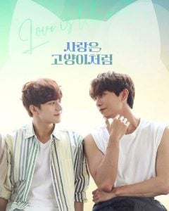 ดูซีรี่ย์ออนไลน์ Love is Like a Cat (2024) รักนี้ หมาหรือแมว