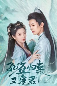 ดูซีรี่ย์ออนไลน์ Peacock in Wonderland (2024) มหัศจรรย์รักทูตนกยูง