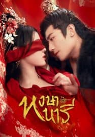 ดูซีรี่ย์ออนไลน์ฟรี The Dangerous Lover (2024) หงษานารี