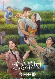 ดูซีรี่ย์ออนไลน์ฟรี Love in the Tea Garden (2024) รักเกิดในสวนชา