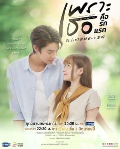 ดูซีรี่ย์ออนไลน์ A Love So Beautiful (2024) เพราะเธอคือรักแรก