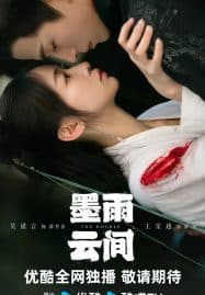 ดูซีรี่ย์ออนไลน์ฟรี The Double (2024) มรสุมชีวิต