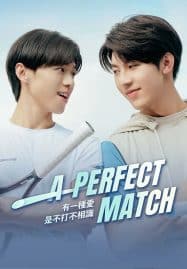 ดูซีรี่ย์ออนไลน์ฟรี A Perfect Match (2025) เสิร์ฟรักข้ามเน็ต