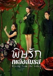 ดูซีรี่ย์ออนไลน์ฟรี Rising from the Ashes (2025) พิษรักเพลิงสมรส