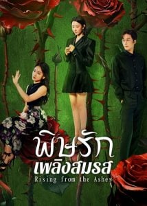 ดูซีรี่ย์ออนไลน์ Rising from the Ashes (2025) พิษรักเพลิงสมรส