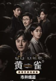ดูซีรี่ย์ออนไลน์ฟรี Stealing Time (2025) ชิงเวลาล่าความจริง