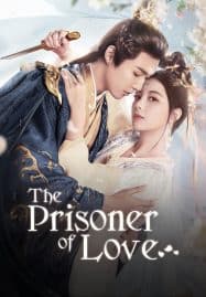ดูซีรี่ย์ออนไลน์ฟรี The Prisoner of Love (2025) ห้วงรักลิขิตแค้น