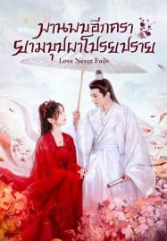 ดูซีรี่ย์ออนไลน์ฟรี Love Never Fails (2025) พบพานอีกครายามบุปผาโปรยปราย