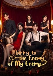 ดูซีรี่ย์ออนไลน์ฟรี Marry to the Enemy of My Enemy (2025) ด้วยรักจากดวงตะวัน