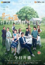 ดูซีรี่ย์ออนไลน์ฟรี Reblooming Blue (2024) ปลูกฝันรักใต้ฟ้าสีคราม