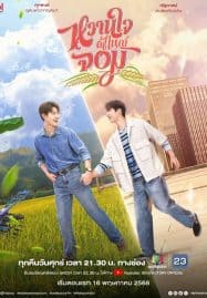 ดูซีรี่ย์ออนไลน์ฟรี My Sweetheart Jom (2025) หวานใจผู้ใหญ่จอม Uncut